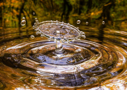 W ramach wspólnej akcji śląskie samorządy oszczędzają wodę