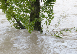 Ministerstwo Infrastruktury opublikowało mapy ryzyka powodziowego