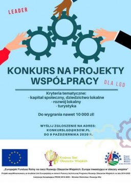 Zwycięskie projekty współpracy śląskich LGD